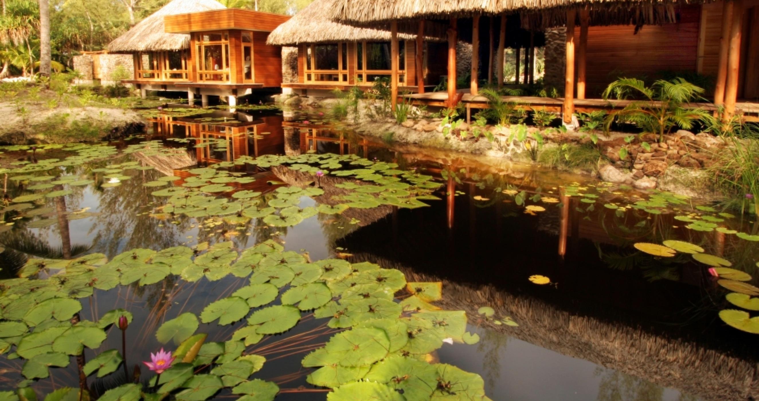 Bora Bora Pearl Beach Now Destination Weddings